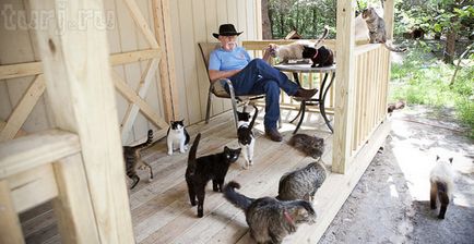 Statele Unite Ranch rand caboodle sau unde este paradisul pisicii