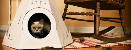 Стильні ідеї будиночків і лежанок для кішок