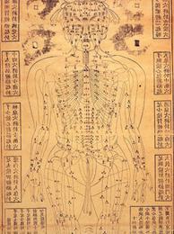 Descoperiri stomatologice din China antică - stomatologie - știri și articole despre stomatologie -