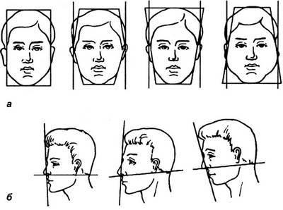Structura capului și a feței