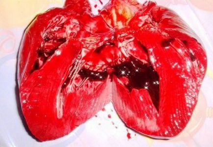 A diákok kutya megcsonkított és főtt csontjait - a forrása a jó hangulat (Bioresources) A diákok kutya megcsonkított és főtt csontjait - a forrása a jó hangulat