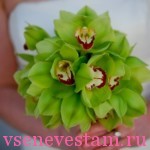 Buchet de nunta de la idei de fotografie cymbidium pentru buchetul de mireasa, ❤️❥ toate pentru nunta