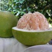 Proprietățile pomelo fructe, rețete - populare despre sănătate