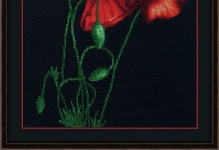 Схеми вишивки хрестиком на чорній канві безкоштовний малюк, квіти і набори скачати, хрестиком ельф і