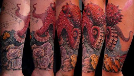 Tattoo caracatiță valoare, legende și mituri, selecție schiță