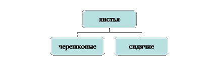 Тест «органи рослин корінь, стебло, лист»