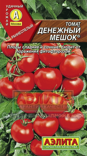 Томат грошовий мішок ® купити насіння томатів оптом оптом і в роздріб від виробника