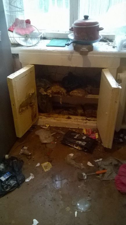 Coroane de câini au fost găsite în apartament cu o miroasă amețire la intrare și zestre, foto, 28 iulie 2017, știri