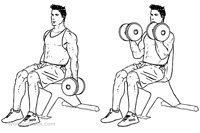 Exerciții cu gantere la domiciliu swing biceps, triceps, umeri, piept, spate și picioare la domiciliu