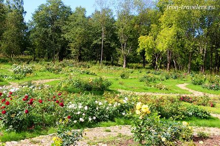 Manor znamenskoe-rajk fotografia din zona Tver