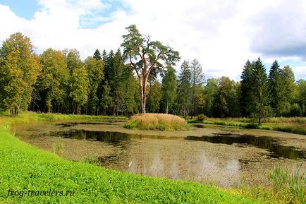 Manor znamenskoe-rajk fotografia din zona Tver