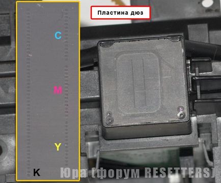Dispozitivul capului de imprimare piezoelectric epson - un forum pe сппч