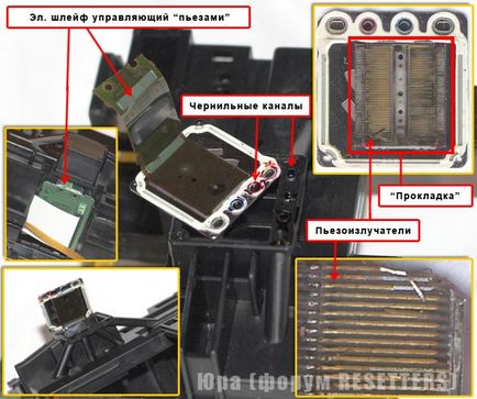 Dispozitivul capului de imprimare piezoelectric epson - un forum pe сппч