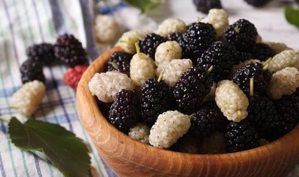 Gem de mure - retete din fructe de padure albe si negre