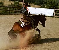 Вестерн (кінний спорт)