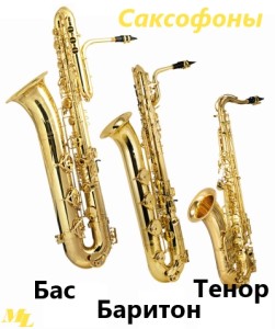 Tipuri de saxofoane, viata muzicala
