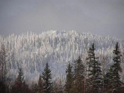 Висимский заповідник (Свердловська область)