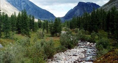 Rezervația Visimsky (regiunea Sverdlovsk)