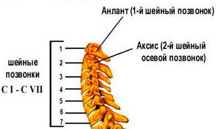 Dislocarea tratamentului vertebrelor cervicale, simptome și prim ajutor