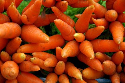 Morcovi marinari gustoși - o rețetă simplă pentru morcovi de iarnă