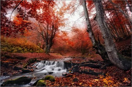 Fotografia peisagistică a lui Vlad Sokolovsky ar trebui făcută cu un suflet