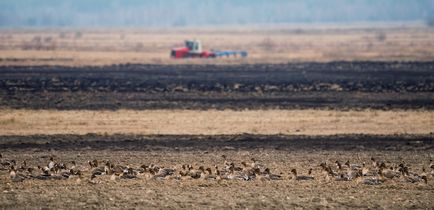 Fotografia peisagistică a lui Vlad Sokolovsky ar trebui făcută cu un suflet