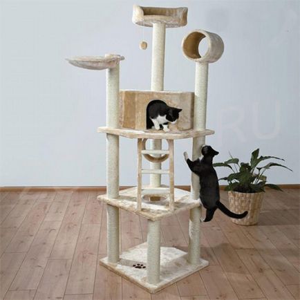 Doriți să faceți o pisică un cadou - dați-i un complex de joacă