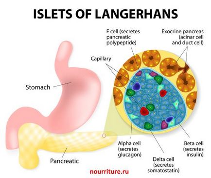 Blocarea canalului pancreasului (tumoră, piatră, aderențe) termen medical