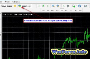 Заробіток форекс на автопілоті від 10 $ до 50 $ в день