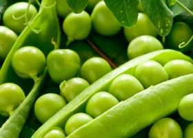 Verde Peas beneficii pentru pierderea in greutate