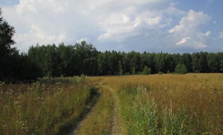 Земля і ділянки під дачне будівництво переваги та особливості