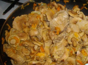 Fried ciuperci podberozoviki rețete corecte și delicioase de gătit, site-ul de ciuperci