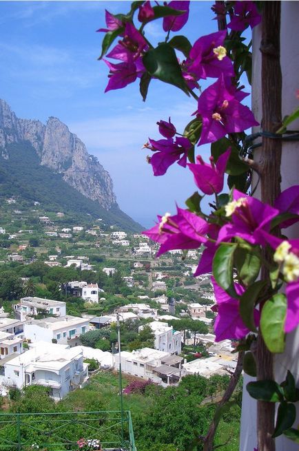 Insula pitorească Capri (capri), Italia, o revistă online pozitivă