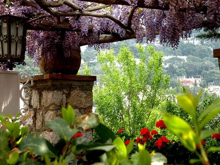 Insula pitorească Capri (capri), Italia, o revistă online pozitivă