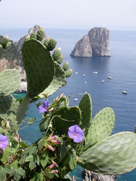 Insula pitorească Capri (capri), Italia, o revistă online pozitivă