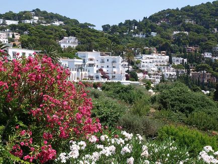 Insula pitorească Capri (capri), Italia, o revistă online pozitivă