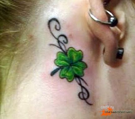 Jelentés tetoválás lóhere lóhere és a négylevelű lóhere - fotók tetoválás (érték) Jelentés tetoválás lóhere lóhere és a négylevelű lóhere - tattoo kép