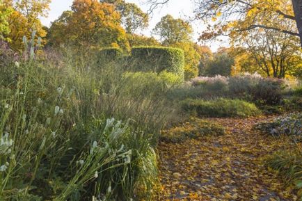 10 tipp a Bright Star Garden Design Pete Rudolf, site design ()