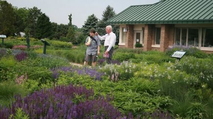 10 tipp a Bright Star Garden Design Pete Rudolf, site design ()