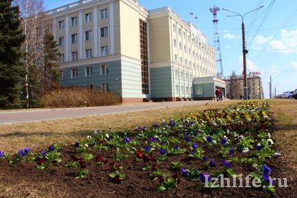 4, 5 Mii de flori pe aceeași grădină de flori și gazon timp de 40 de ani, pe măsură ce fac cele mai frumoase grădini de flori din Izhevsk -