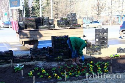 4, 5 Mii de flori pe aceeași grădină de flori și gazon timp de 40 de ani, pe măsură ce fac cele mai frumoase grădini de flori din Izhevsk -