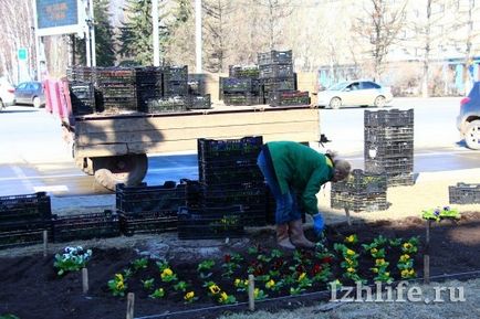 4, 5 ezer szín egy virágágyás és a gyep számára 40 éve nem a legszebb virágos kertek - Izhevsk