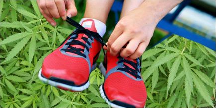 5 motive pentru a juca sport sub marijuana