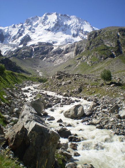 Agenție de turism - Altair - munte de munte-stolu-tau - munte de sănătate - tur al îmbunătățirii sănătății