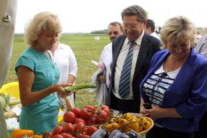 Agrofirma Sedek semințe și răsaduri de site-ul oficial catalog de site-ul oficial, comentarii clienți despre companie,