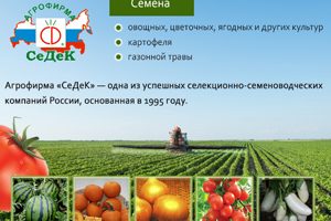 Agrofirma Sedek semințe și răsaduri de site-ul oficial catalog de site-ul oficial, comentarii clienți despre companie,