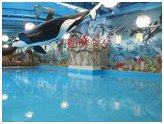 Aquapark Dream Town Kiev