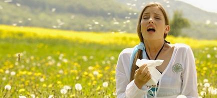 Алергія на амброзію - лікування народними методами