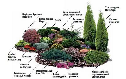 Альпійська гірка в саду, мій город - дачні поради