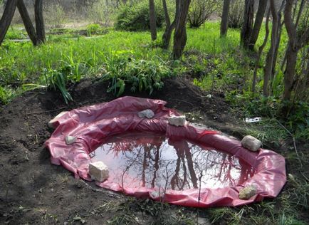 Алпийските градини с водопад - стъпка по стъпка снимки и ландшафтен дизайн свои ръце